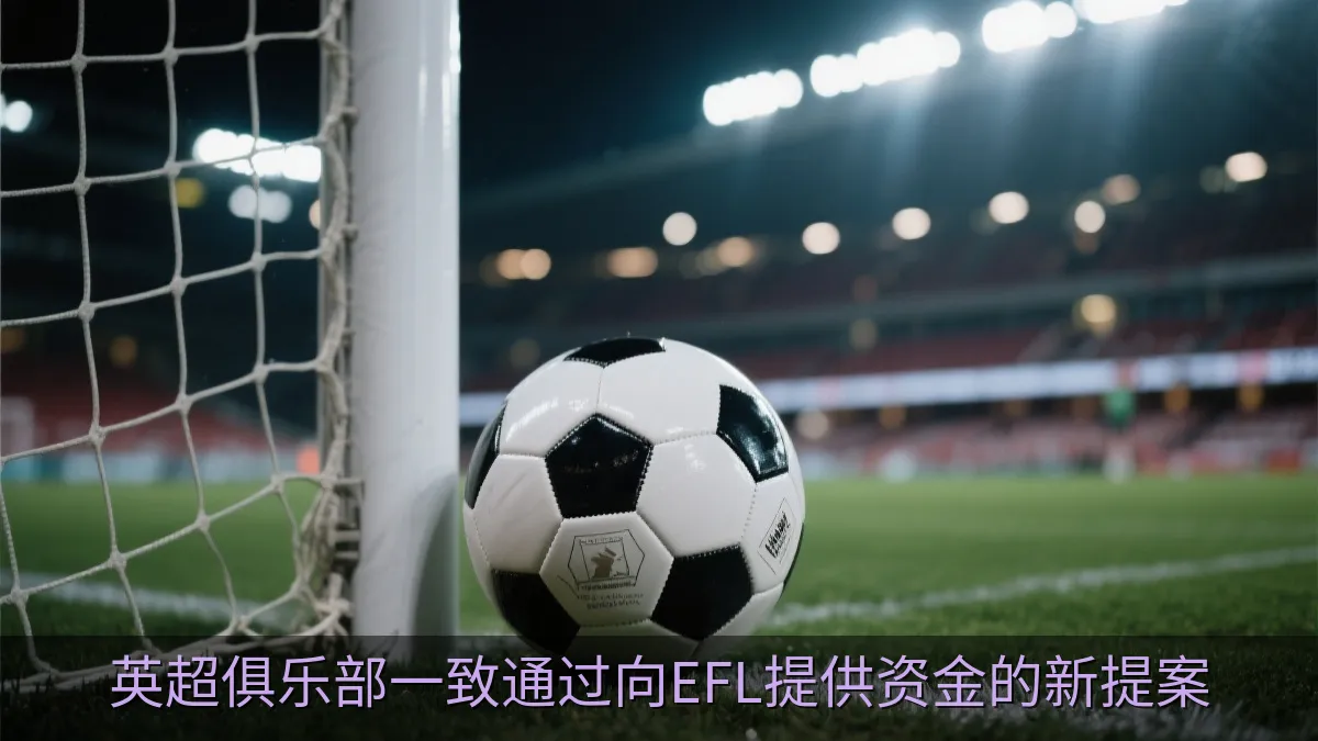英超俱乐部一致通过向EFL提供资金的新提案